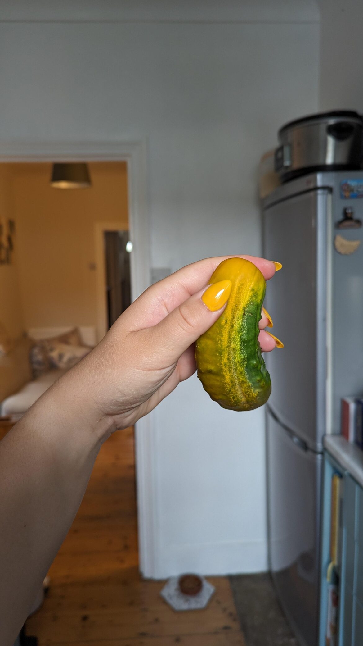 Why is my cucumber yellow