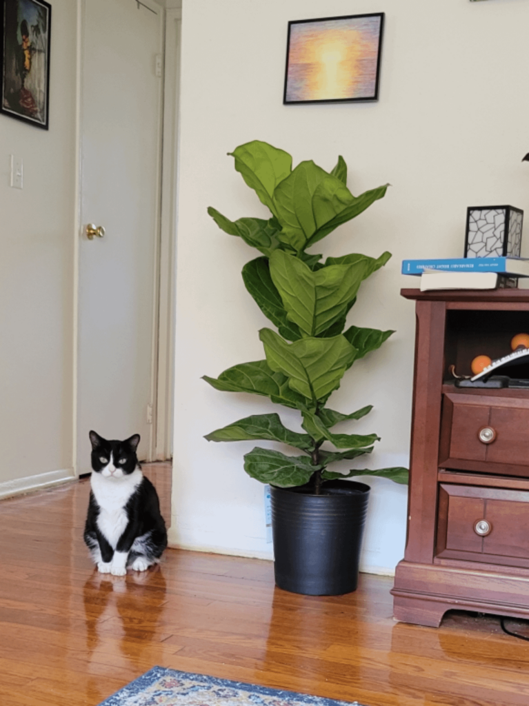 Got lucky at Wegmans!