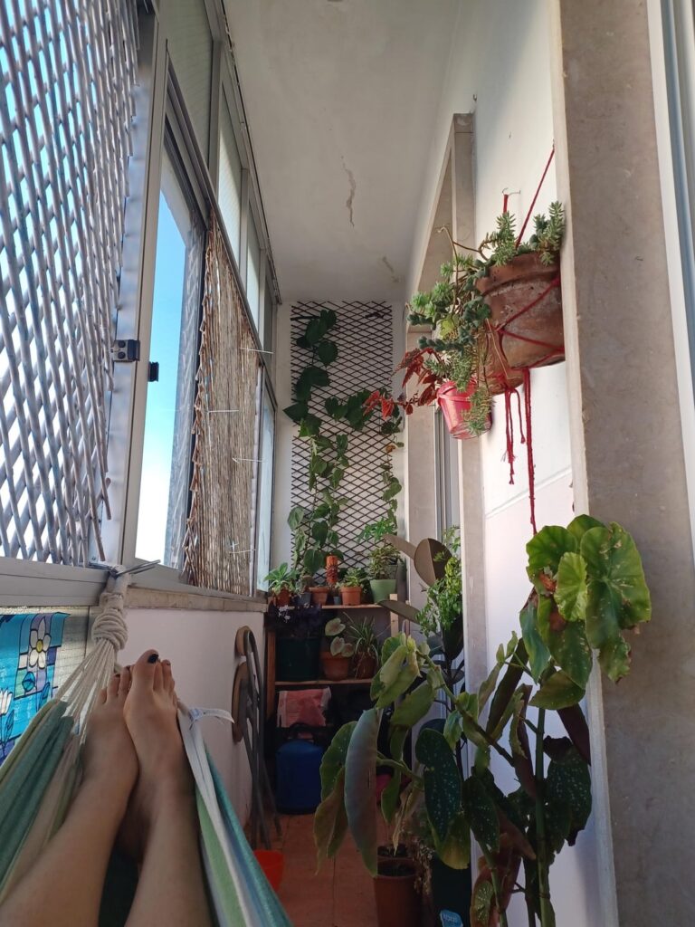 Moving with plants has been a very humbling experience