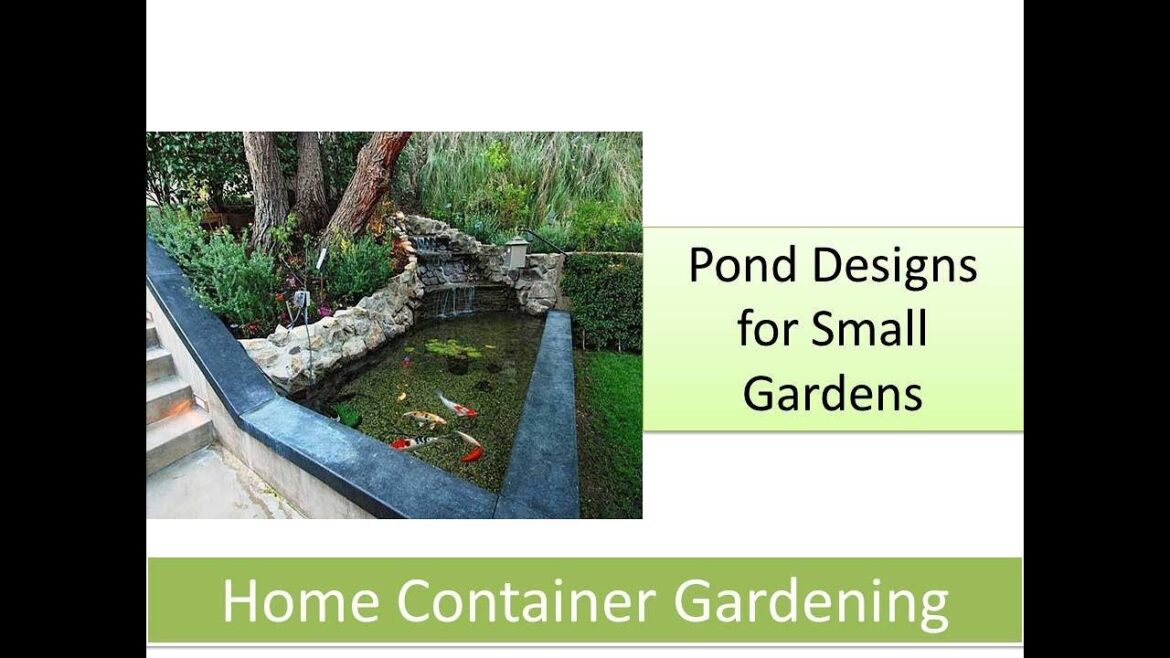Pond Designs for Small Gardens