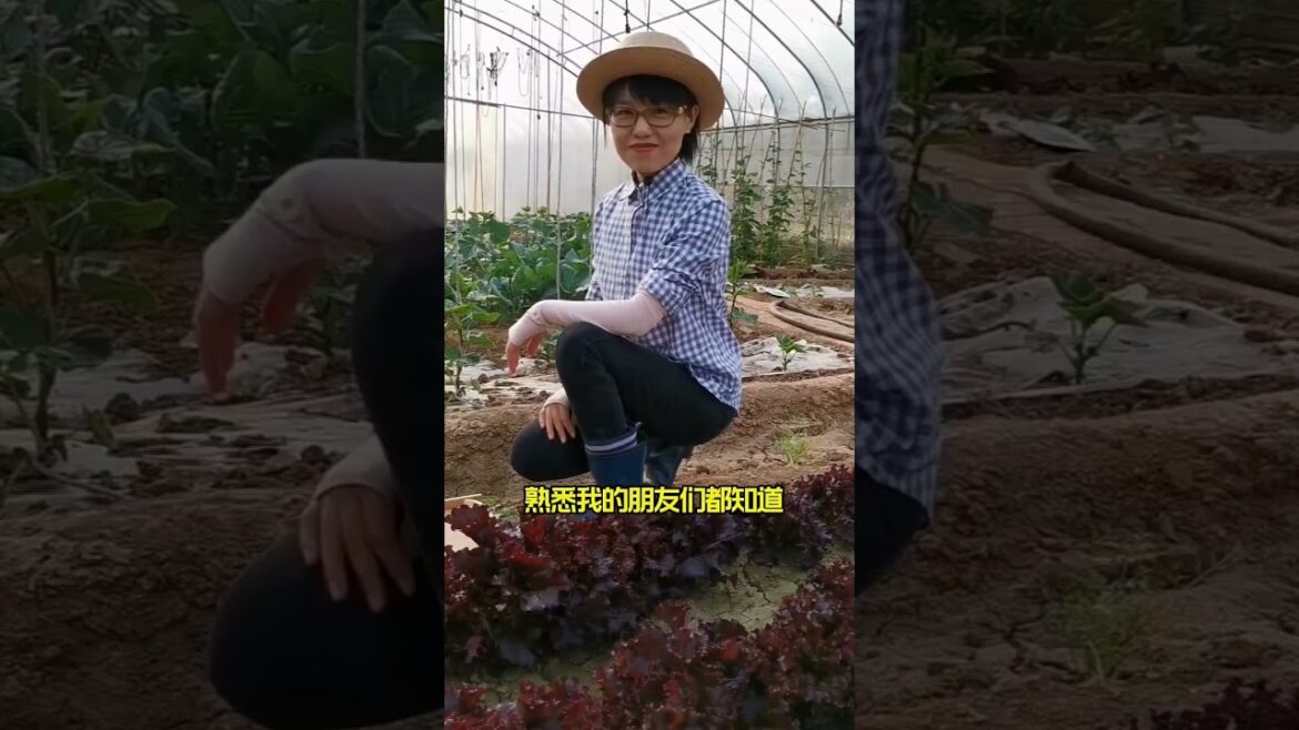 Beautiful Nature Garden Plan Natural life Style Beautiful landscapes Beautiful Nature Garden Plan Natural life Style Beautiful landscapes