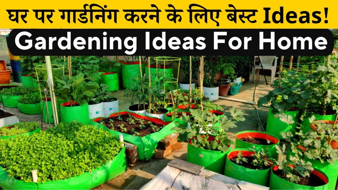 घर पर गार्डनिंग करने के लिए बेस्ट आईडिया! Gardening Ideas For Home | Flower Vegetable & Fruit Garden