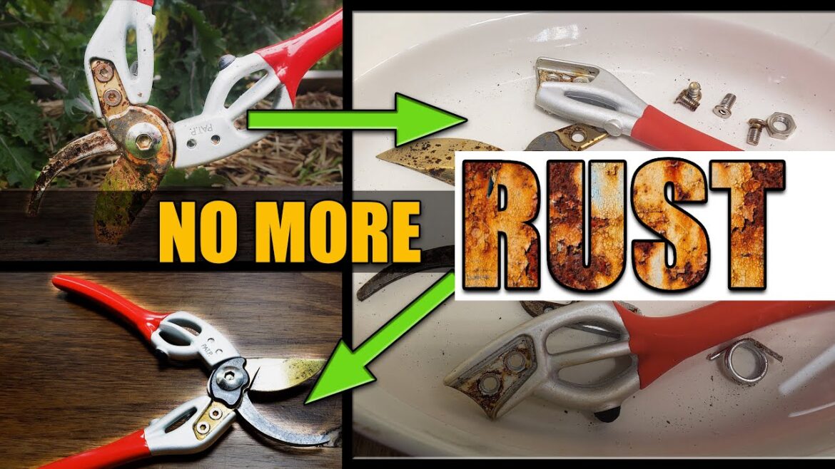 How To Restore Rusted Garden Tools With NO Chemicals! How To Restore Rusted Garden Tools With NO Chemicals!
