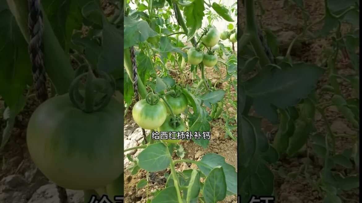 Beautiful Nature Garden Plan Natural life Style Beautiful landscapes