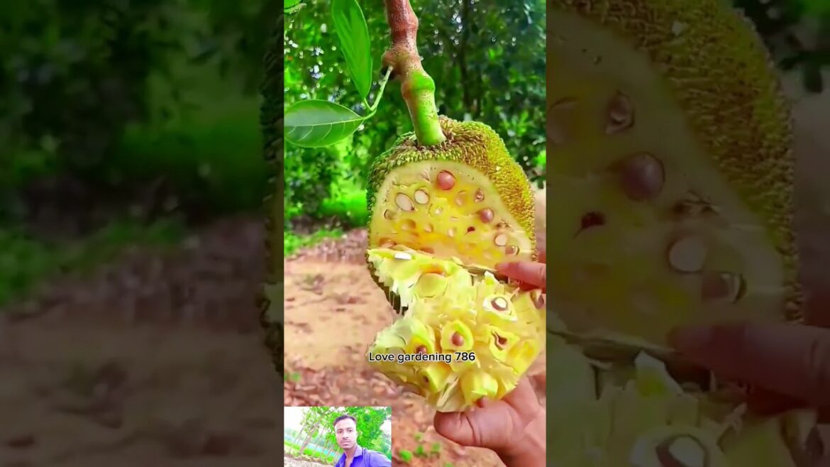 Top  Fruits Cutting 🌲🥭🍓Nature Fruits | Beautiful Nature |  Trends This Year #fruit