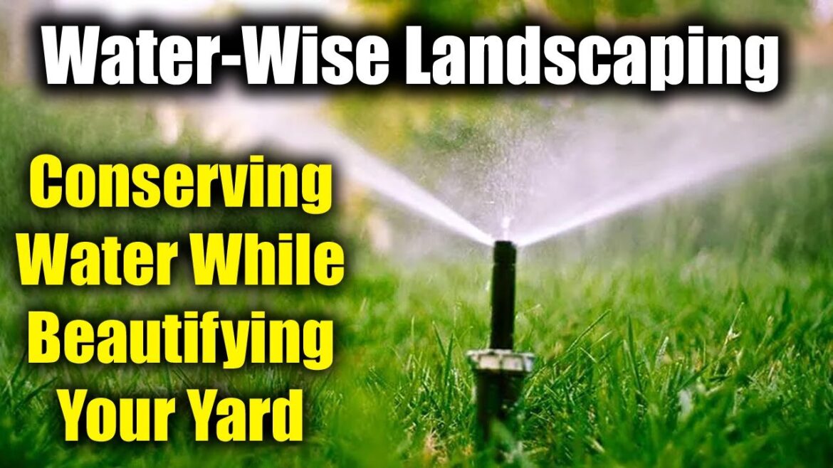 Water-Wise Landscaping: Conserving Water while Beautifying Your Yard