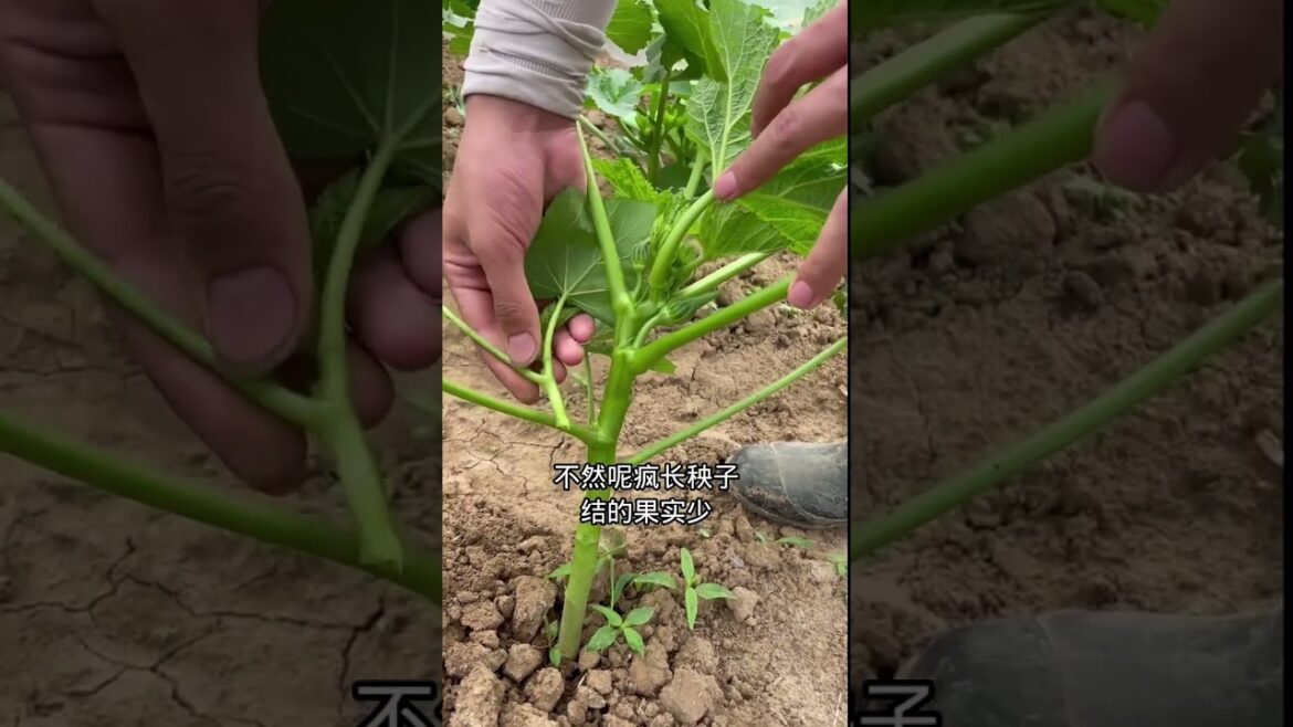 Beautiful Nature Garden Plan Natural life Style Beautiful landscapes Beautiful Nature Garden Plan Natural life Style Beautiful landscapes