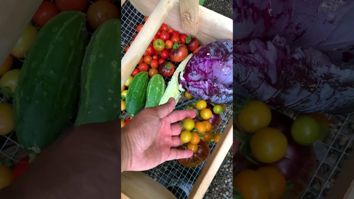 There's nothing better than knowing exactly where your food comes from