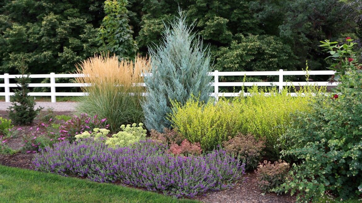 September Garden Highlights Ep 4 🌿