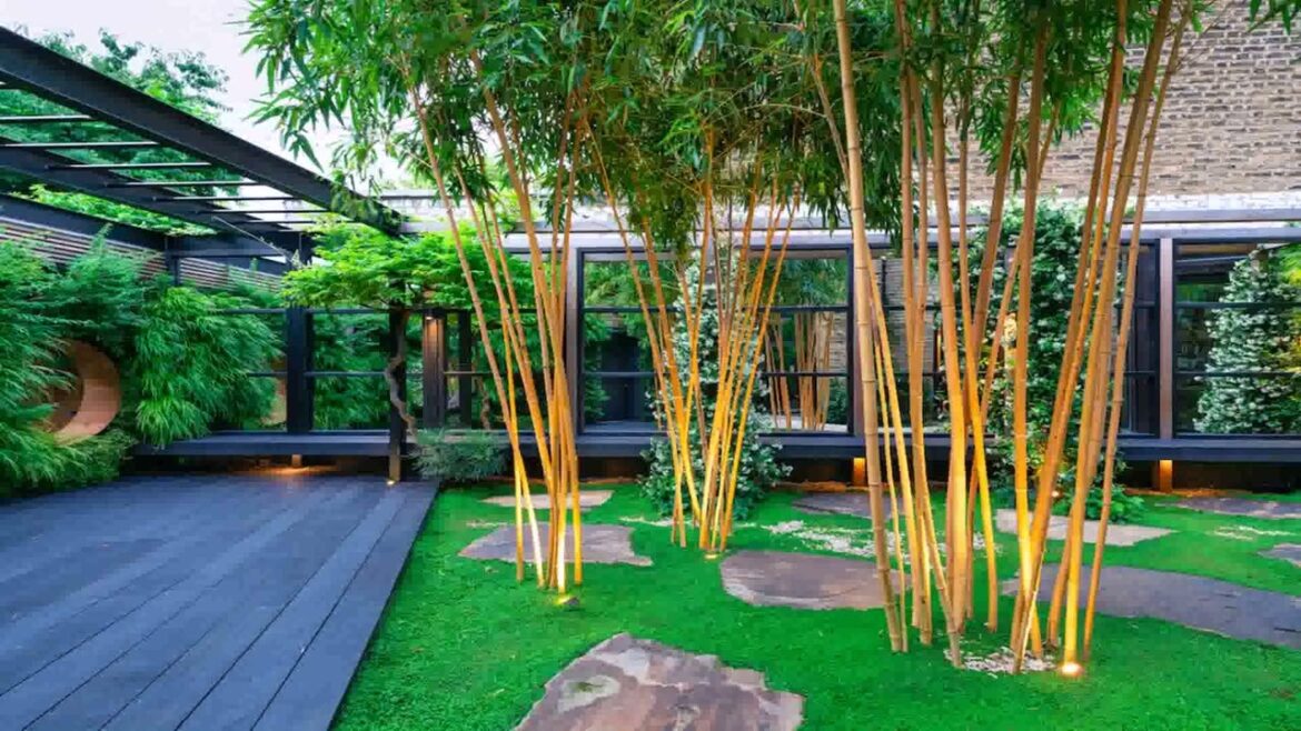 Woodland Garden Design Ideas Uk