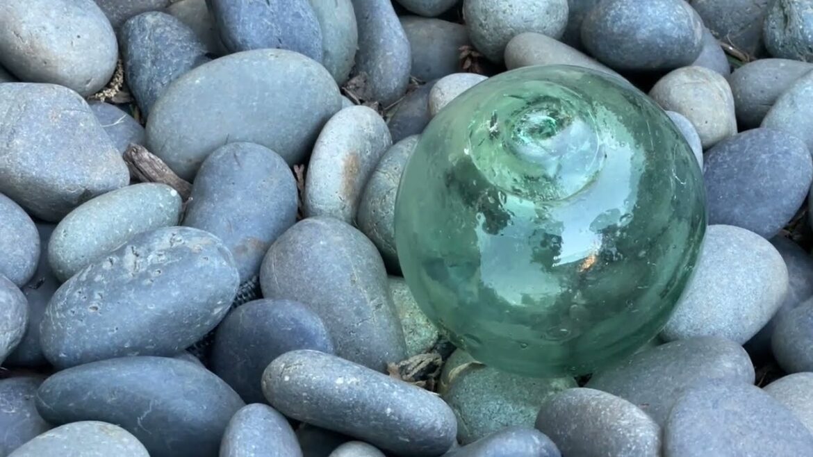 Lawrence Sukashi Japanese Garden Update June 2023