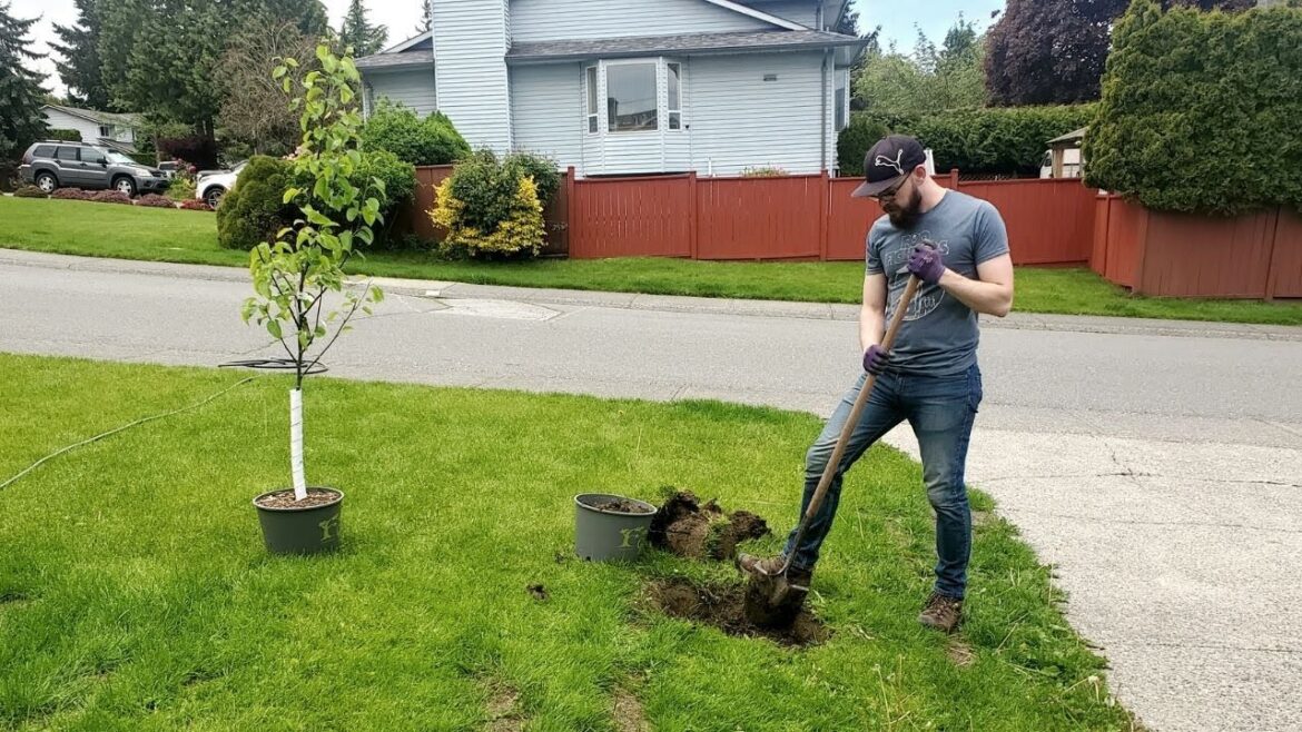 We planted FRUIT TREES in our suburban front yard | turning a lawn into a food forest