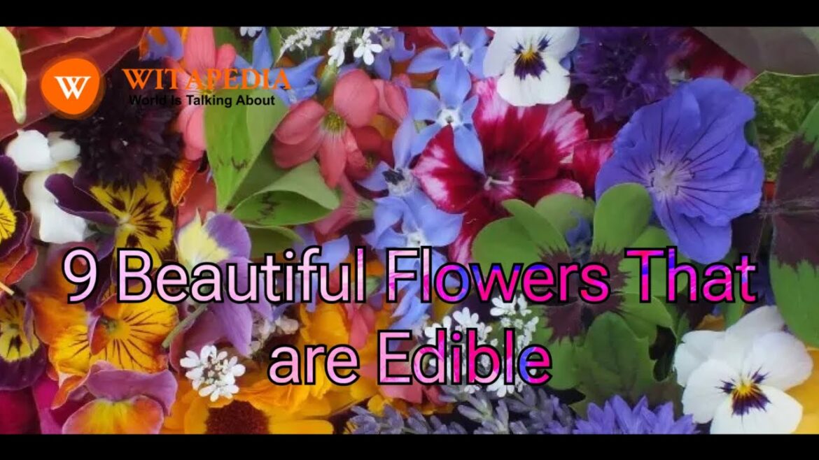 9 Beautiful Flowers That are Edible - @Witapedia