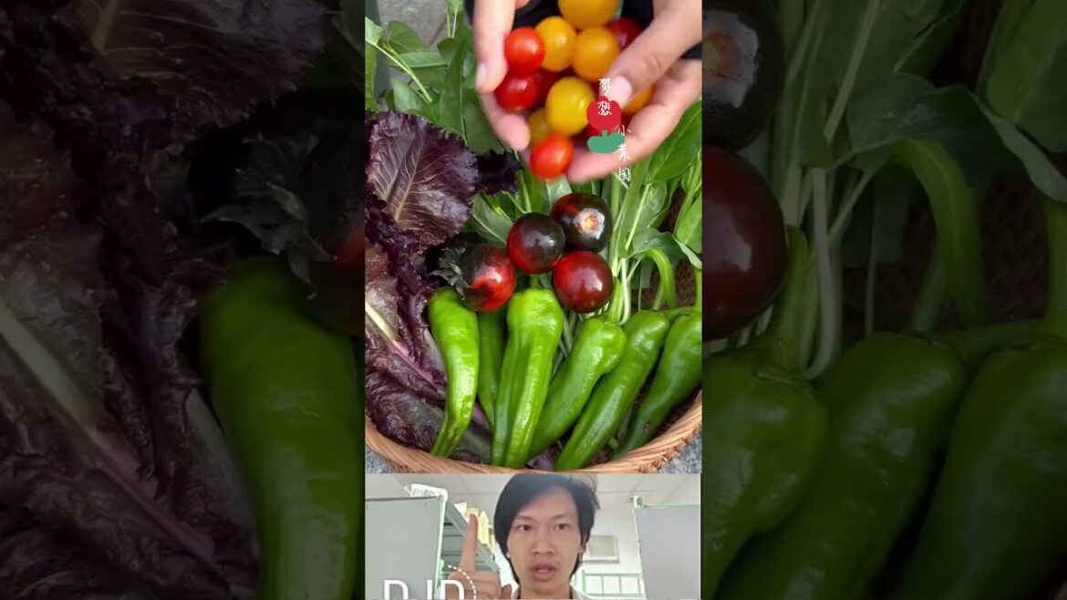 How to grow vegetables at home #vegetablegardening #gadget #veggrowing #vegetableplanting