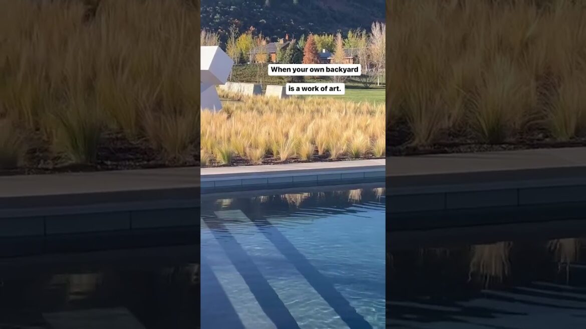 Transforming Backyard into an Oasis - Stunning Pool and Landscaping    #PoolDesign #Landscaping