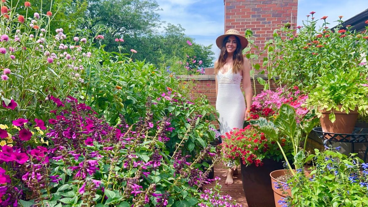 August Container Garden Tour! | What I Grow in a Small Garden August Container Garden Tour! | What I Grow in a Small Garden