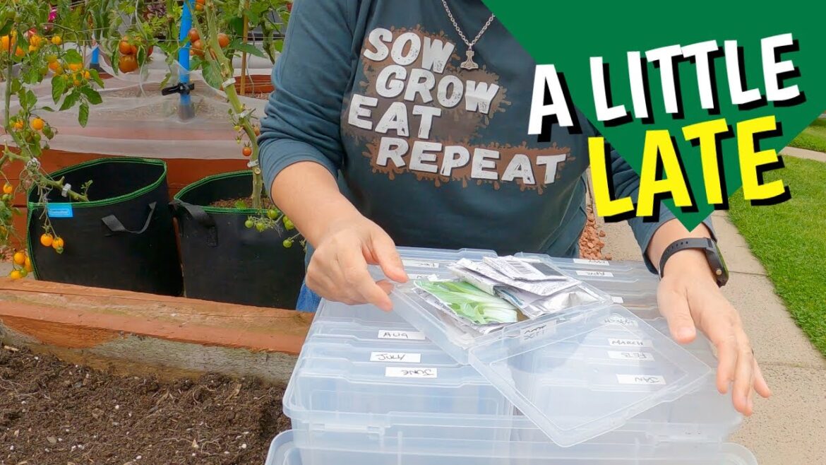 Is September too late to sow seeds? Is September too late to sow seeds?