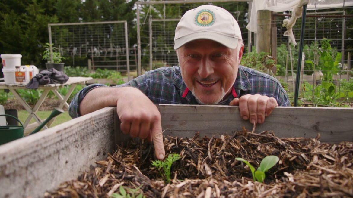 Discover The Hidden Perks Of Mixing Different Plant Families