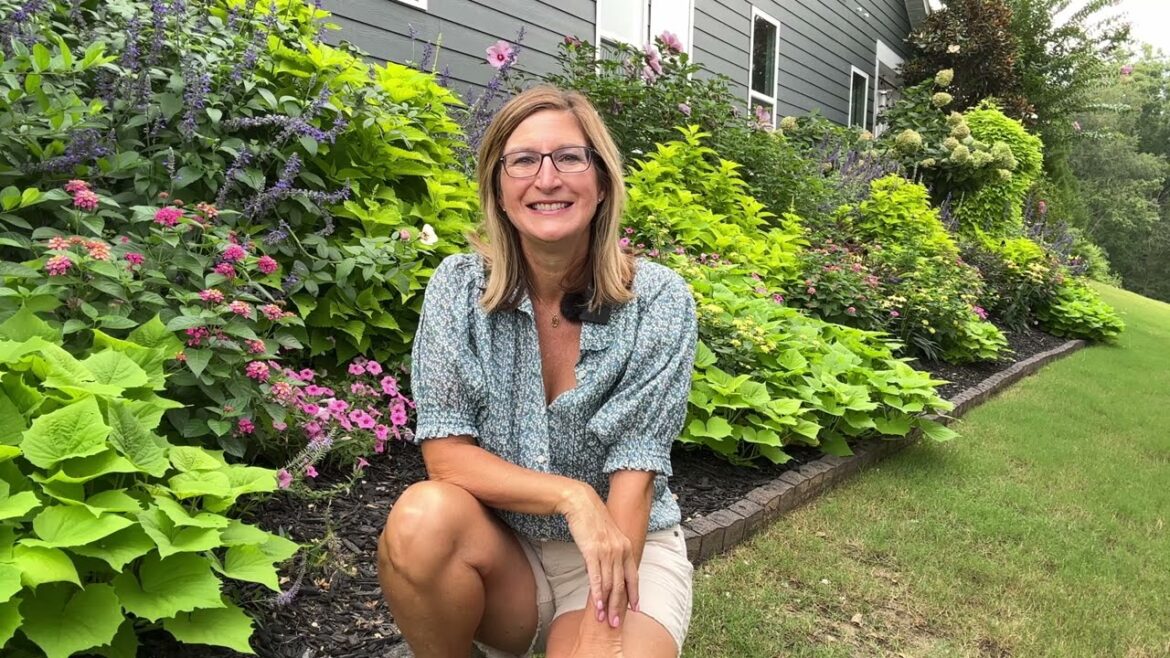 August 2023 Side Garden Tour:  Landscape Ideas for Your Side Gardens: