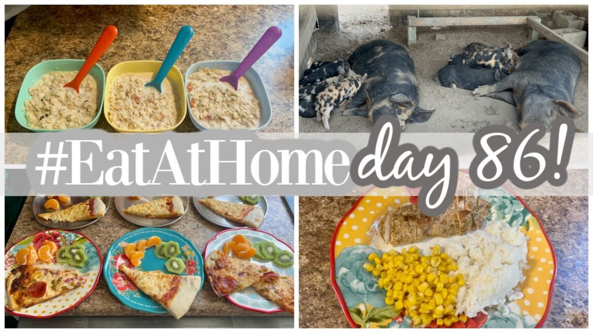 GARDEN VISITORS || #EATATHOME DAY 86 GARDEN VISITORS || #EATATHOME DAY 86