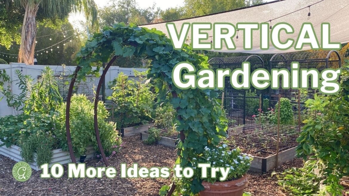 10 More Vertical Gardening Ideas: Growing in the Garden 10 More Vertical Gardening Ideas: Growing in the Garden