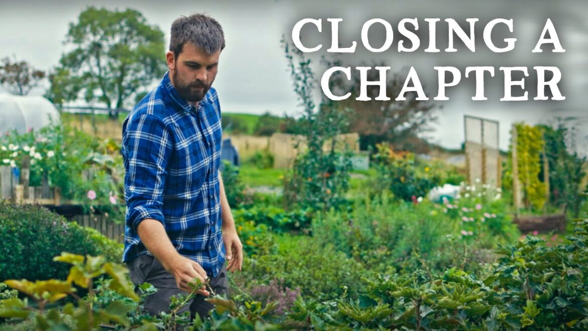 Huw Richards: All Good Things Must Come to an End | Huw’s Garden Diaries All Good Things Must Come to an End | Huw's Garden Diaries