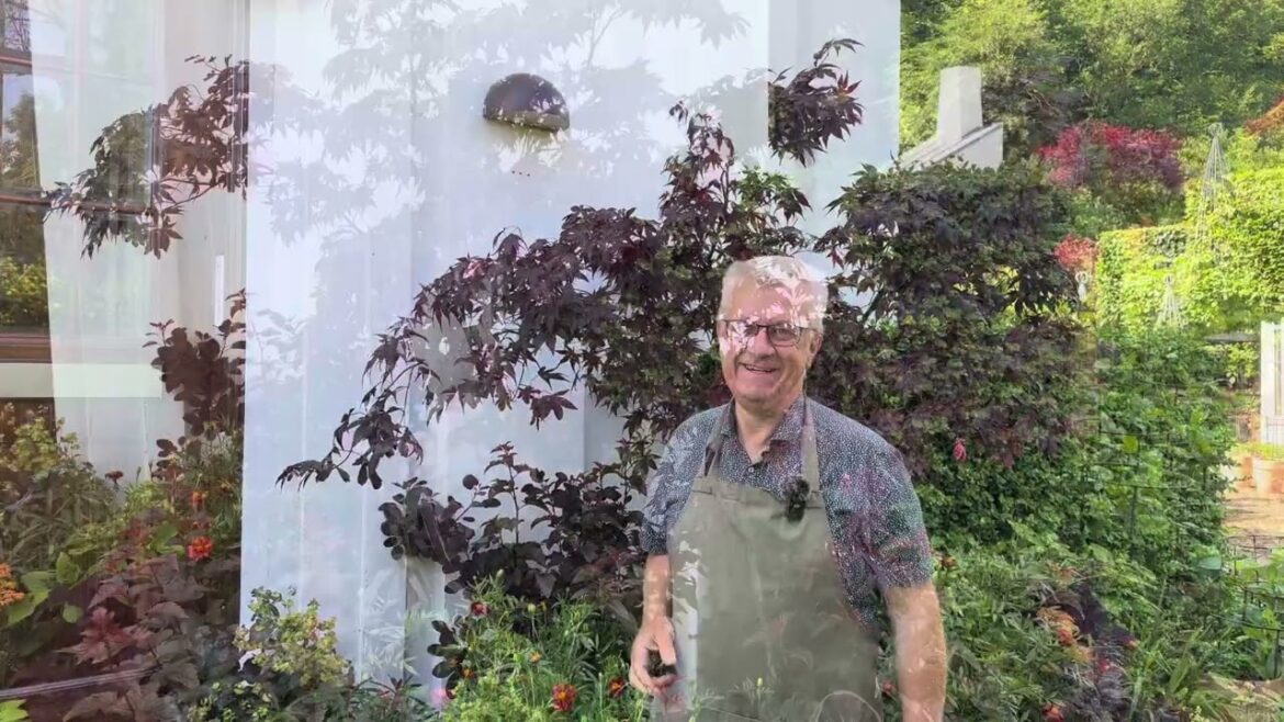 My container garden outside the main entrance