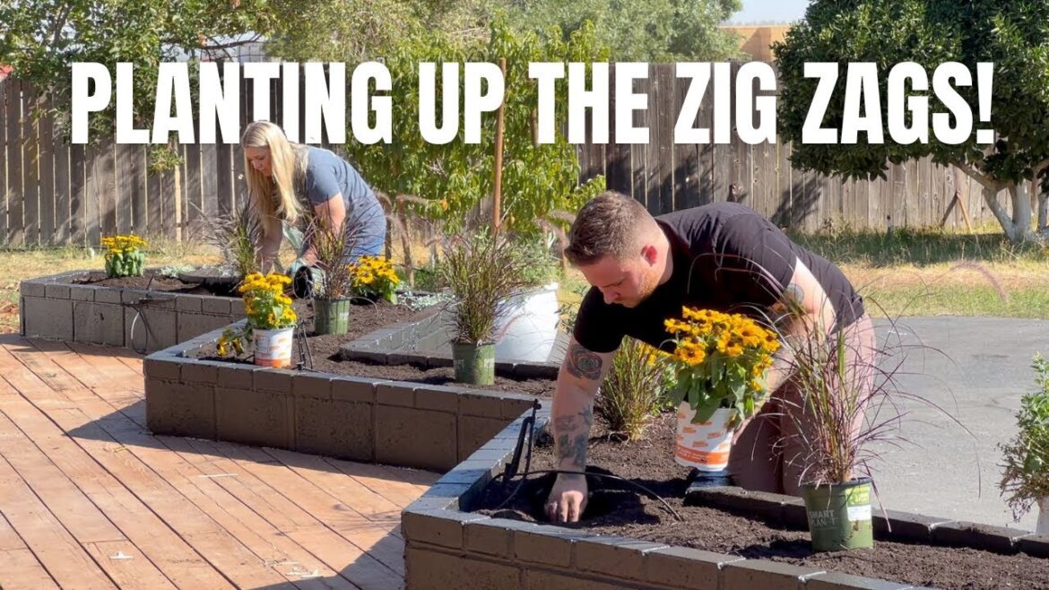 🤔 I'm Kind Of Liking Them Now?! 🤔 :: Planting Up The Zig Zag Planters!