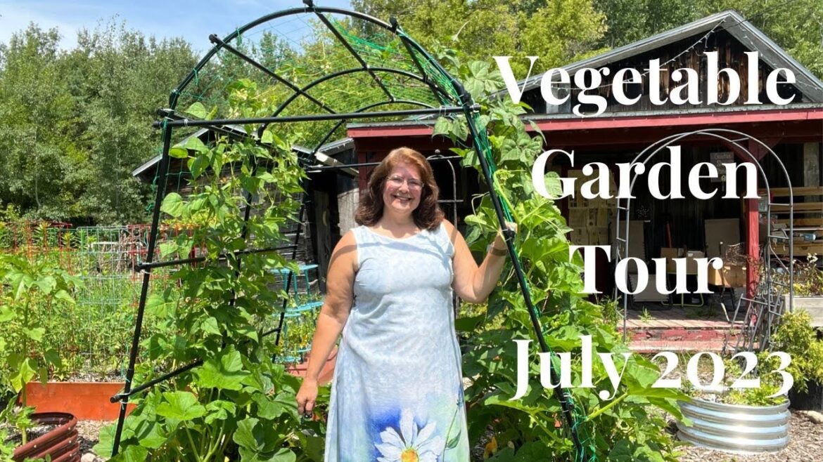 Vegetable Garden Tour July 2023 // Gardening at the Simongetti North Vegetable Garden Tour July 2023 // Gardening at the Simongetti North
