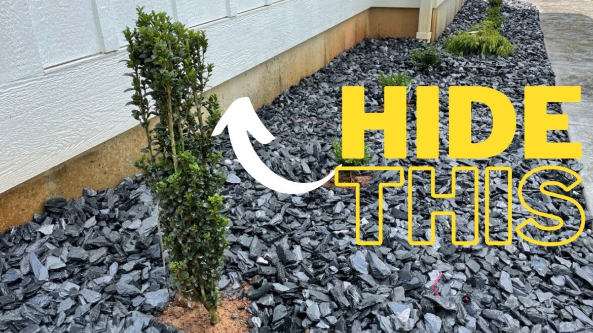 How To Landscaping: Foundation Planting