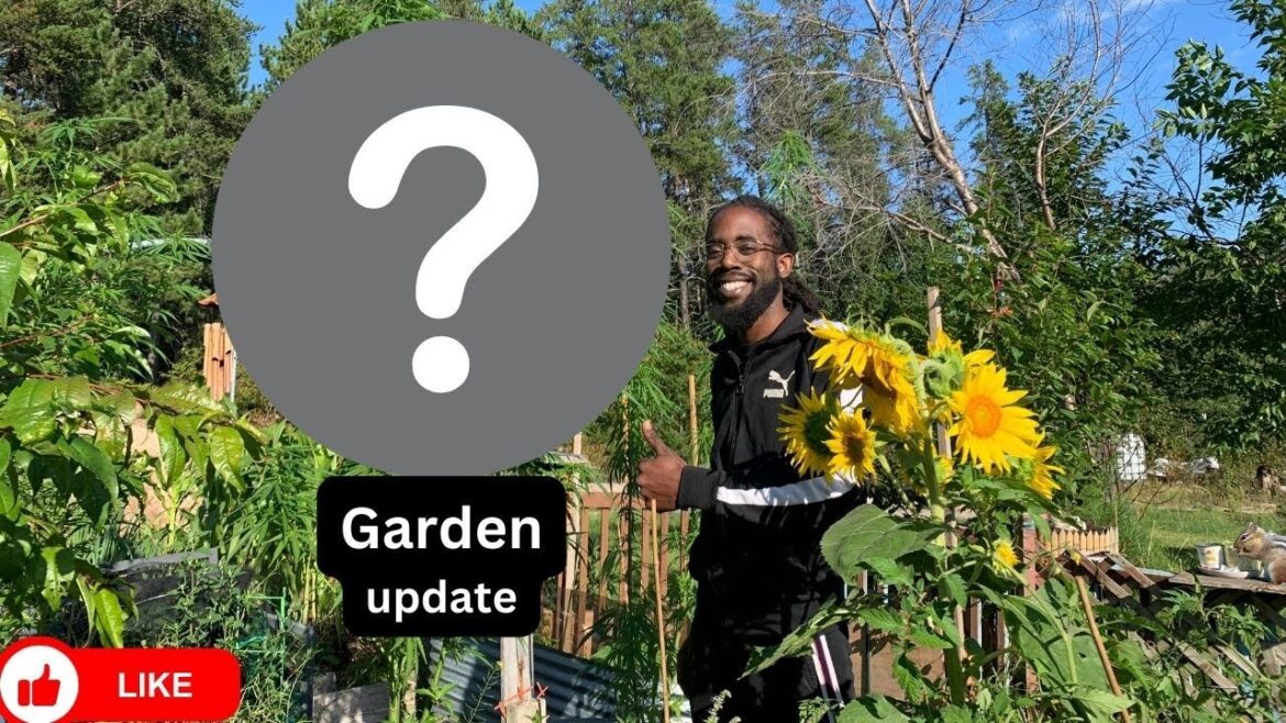 Growing Your Own Food: The Ultimate Backyard Garden Update #gardening #garden