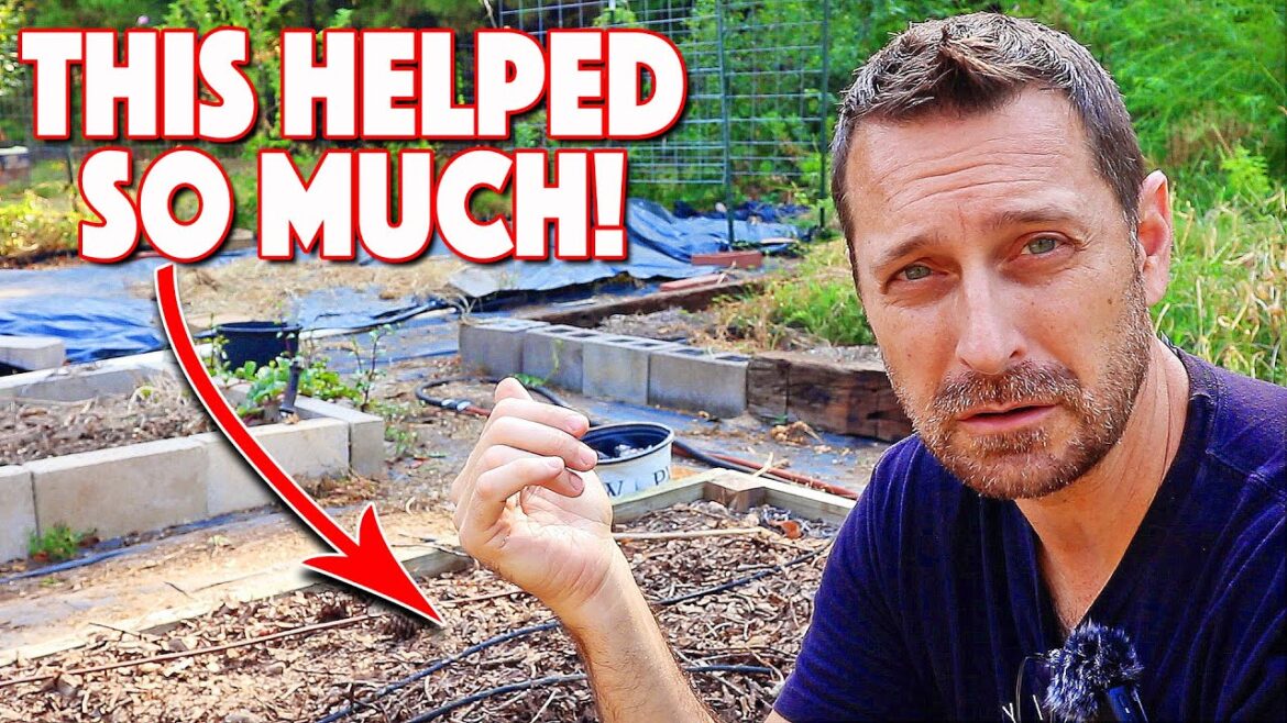 The BEST Garden Planning Tool Out There…Period! Seedtime! The BEST Garden Planning Tool Out There...Period! Seedtime!