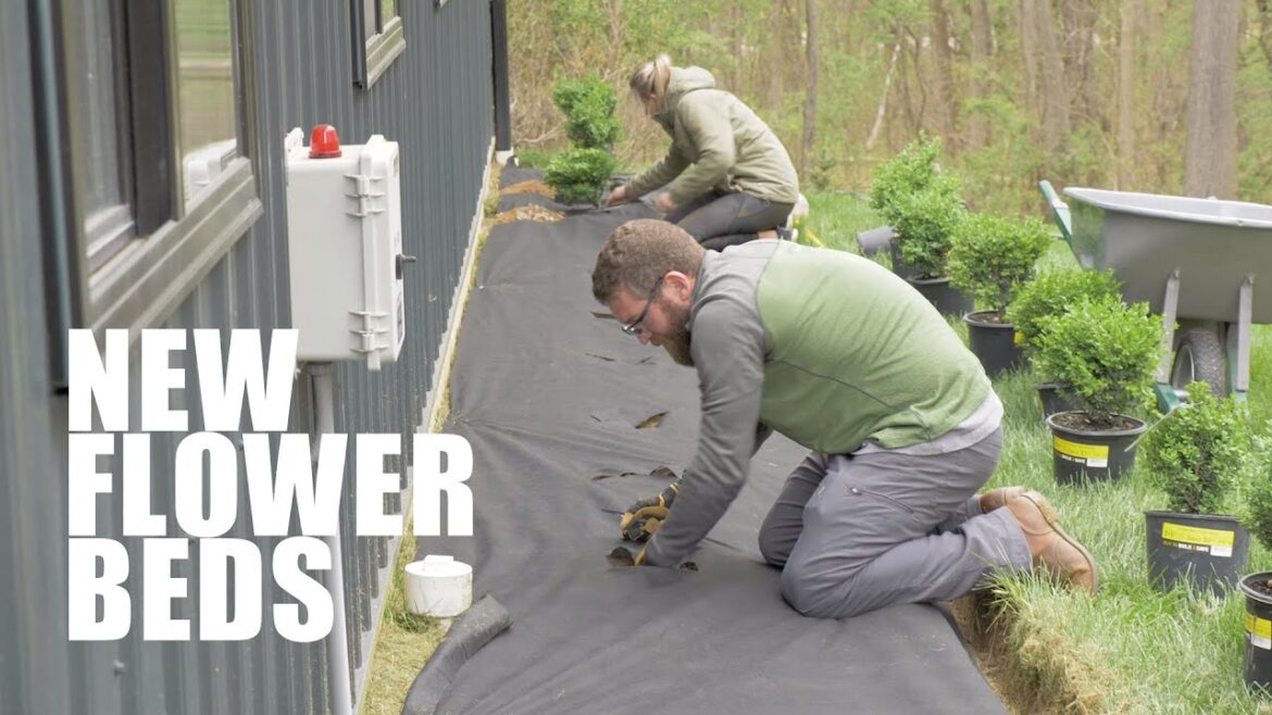 Building New Flower Beds and getting the PERFECT EDGE! Building New Flower Beds and getting the PERFECT EDGE!