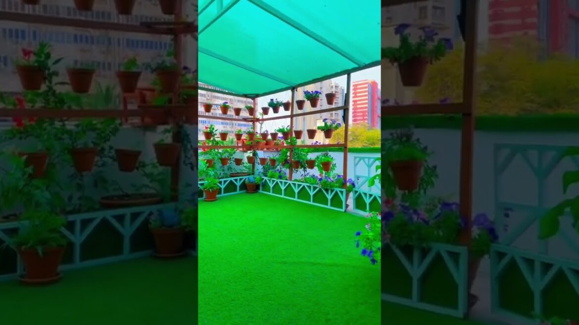 Creative and Beautiful terrace garden | Terrace decoration | #shorts #viral  #garden  #gardendesign