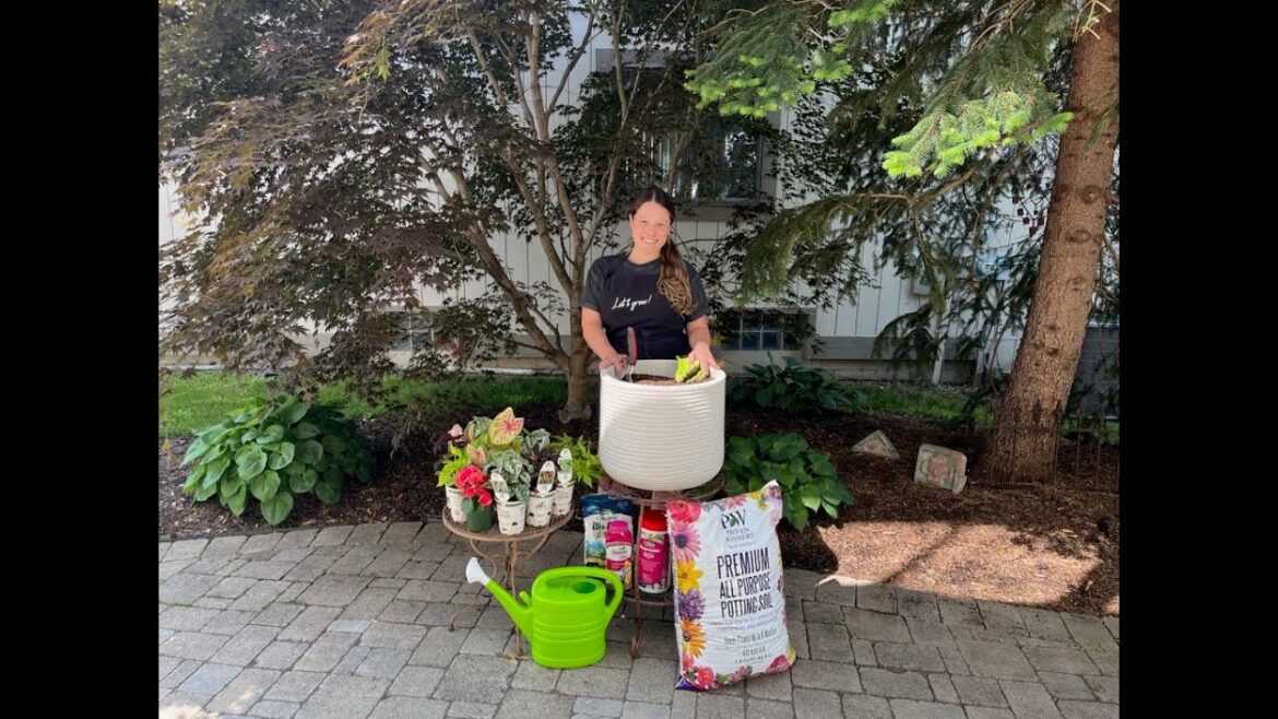 Let's Grow: Summer Container Garden for Shade ENGLISH GARDENS