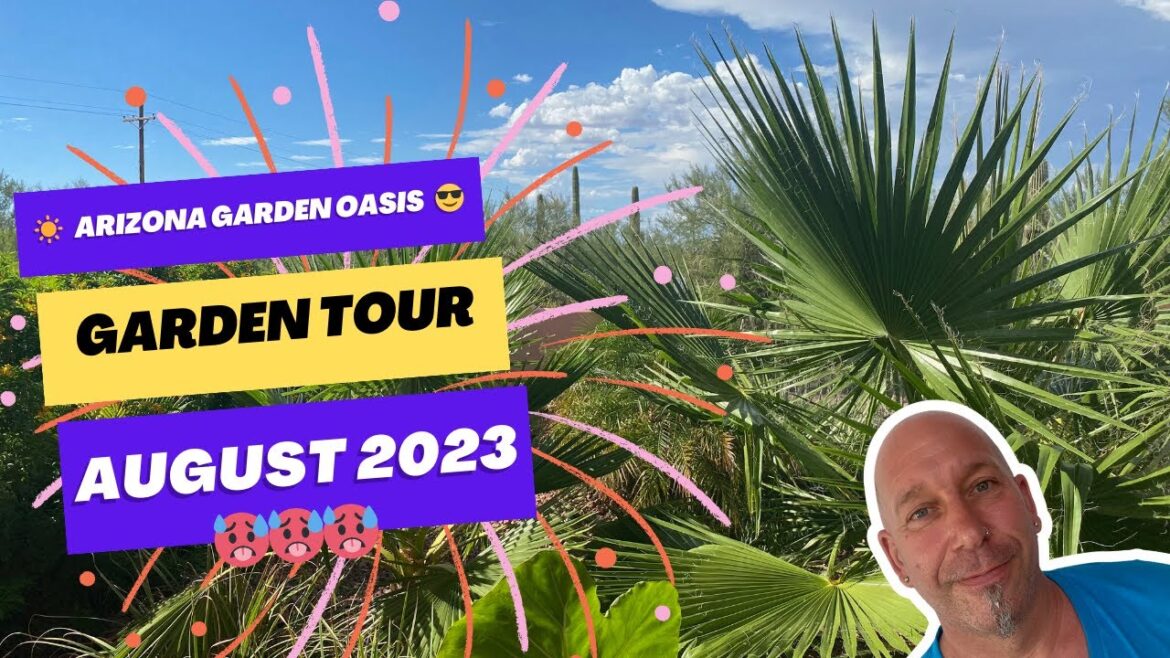 Garden Tour August 2023: Tropical Backyard & Desert Front Yard Garden Tour August 2023: Tropical Backyard & Desert Front Yard