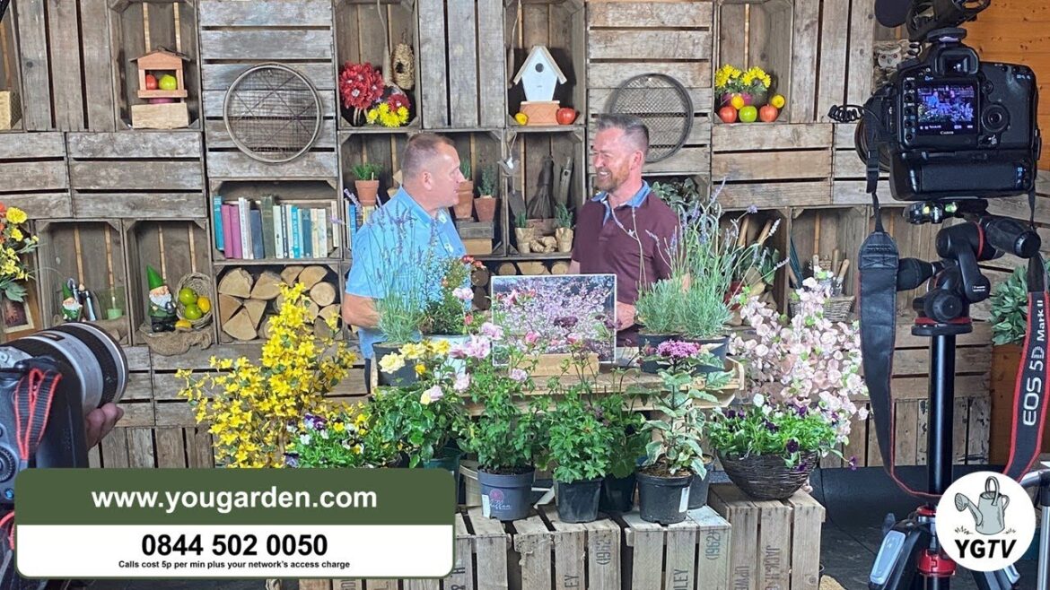 You Garden Live Shopping