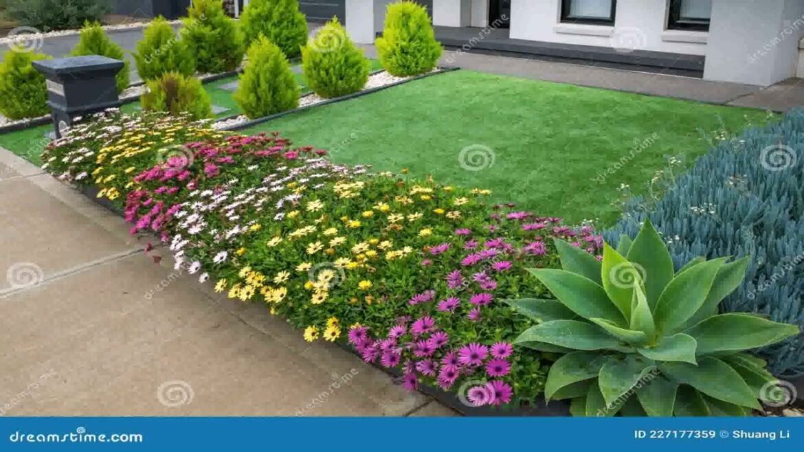 Front Yard Landscaping Ideas Australia