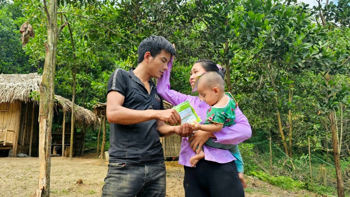 Vegetable gardening - farm building | Sơn Trang Building Life