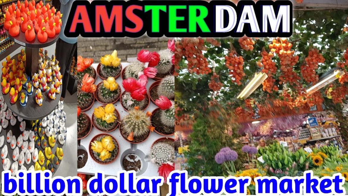 🌹👌 Floral Paradise: Amsterdam's Must-Visit Flower Market of2023 l#youtube#travel #amsterdam#flower