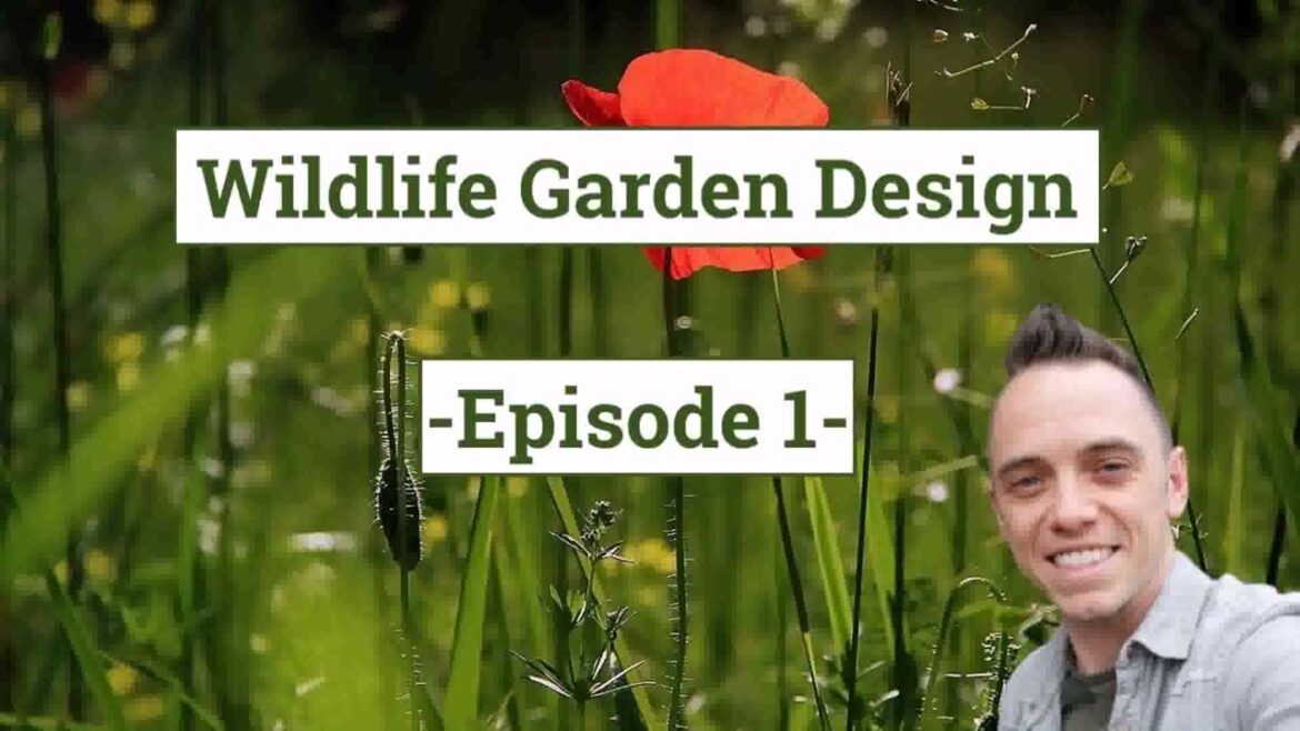 Wildlife Garden Design Ideas Uk