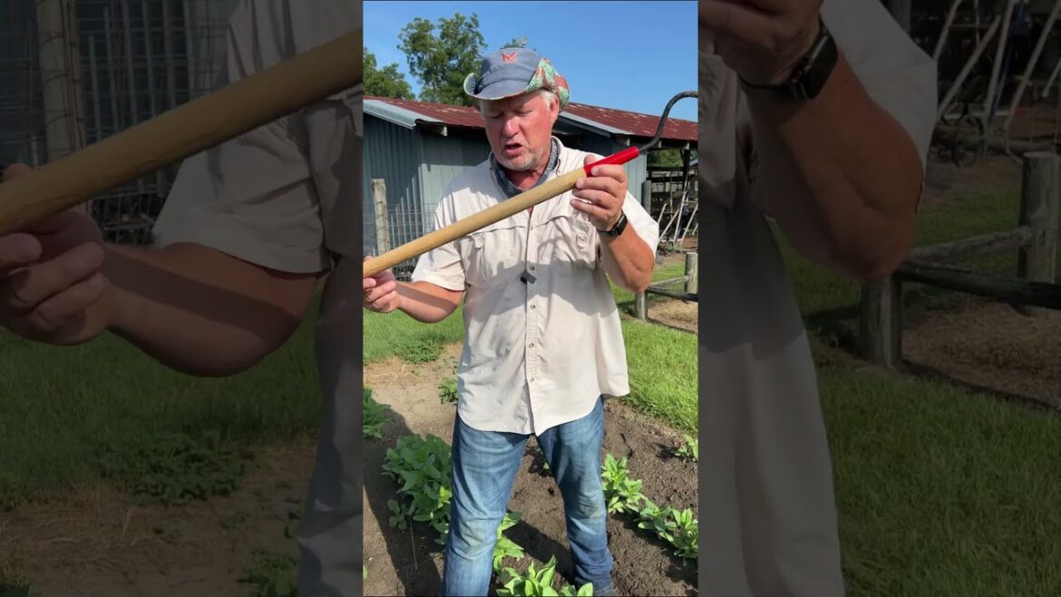 Single Tine Cultivator — a MUST have! Single Tine Cultivator -- a MUST have!