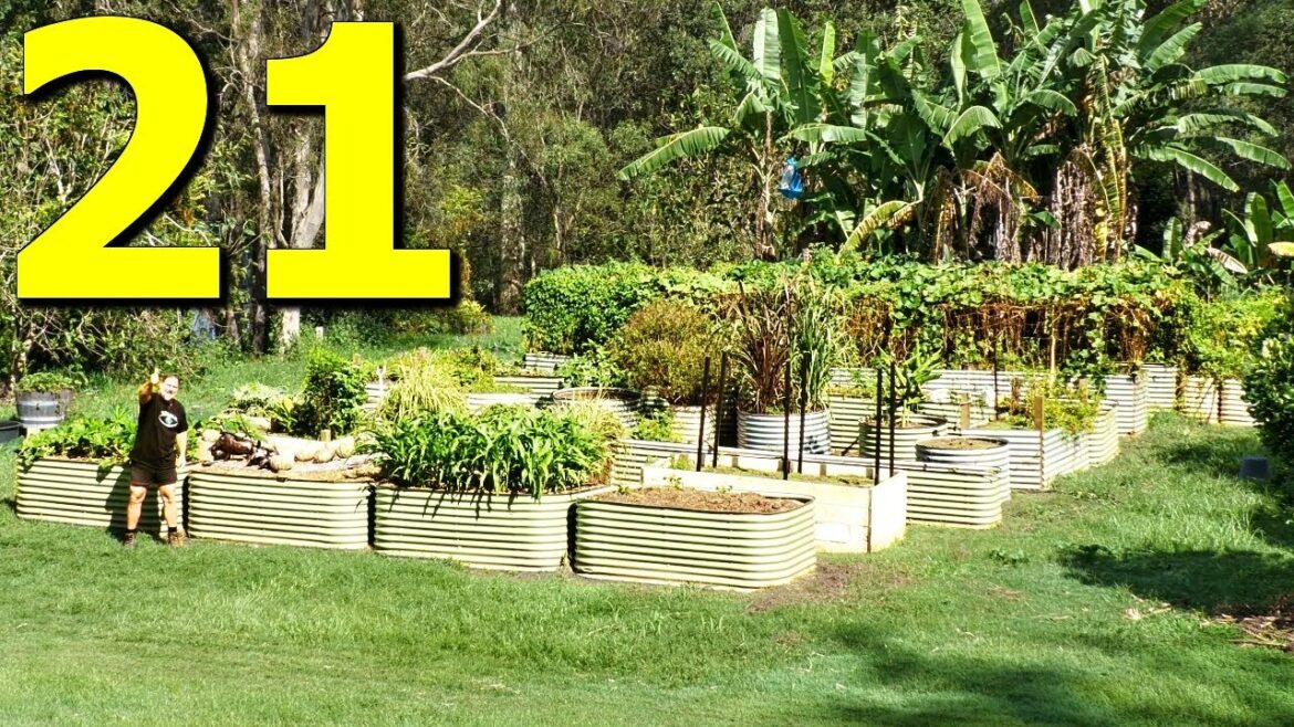 21 Herbs and Spices You Should ALWAYS Grow 21 Herbs and Spices You Should ALWAYS Grow