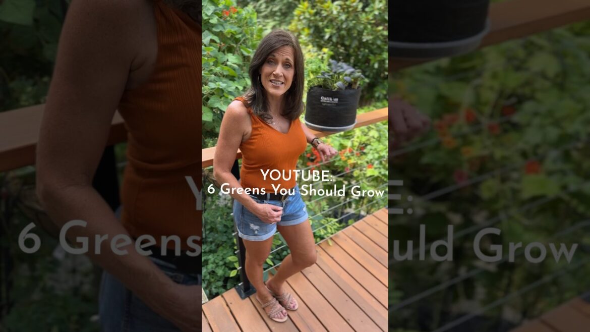 Gourmet Salad Harvest in October?