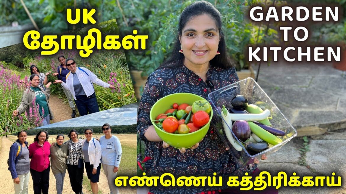 BUTTER BEANS MASALA/ Garden Vegetable harvest/ Friends Meet-up / Garden To Kitchen #gardentour #vlog