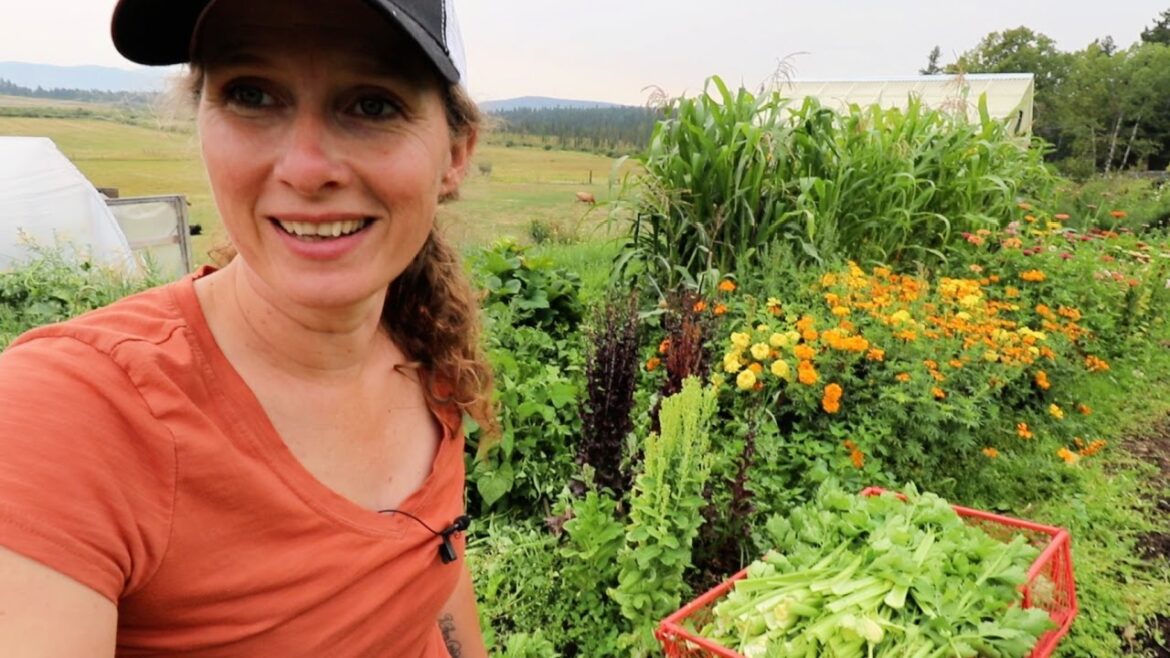 Beautiful, Abundant GIANT Garden Harvest | Another BIG Preserving Day!