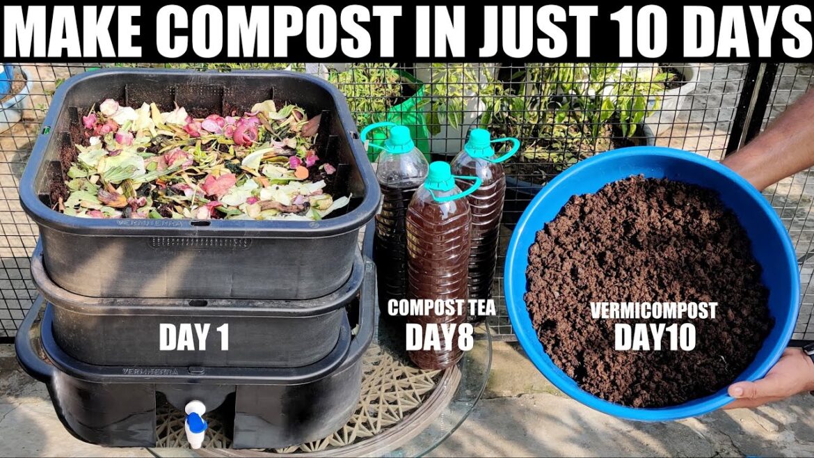 How To Make Compost | IN 10 DAYS