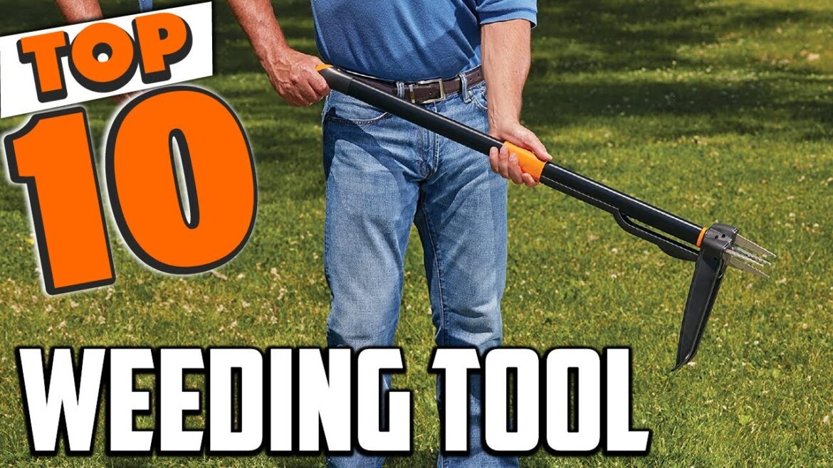 Best Weeding Tool In 2023 – Top 10 New Weeding Tools Review Best Weeding Tool In 2023 - Top 10 New Weeding Tools Review