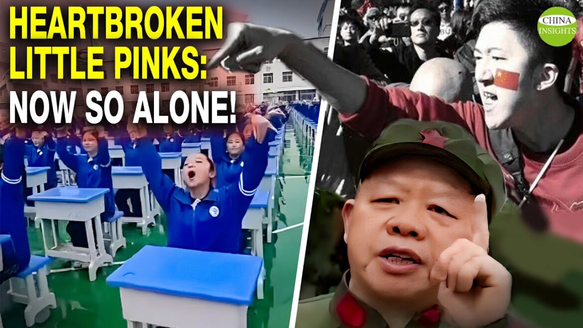 Suffered Many Blows! China little pinks should decrease because been fooled too often/Fake foreigner