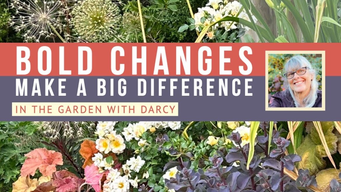 Bold Change Makes a Big Difference in My Front Yard Garden Bold Change Makes a Big Difference in My Front Yard Garden